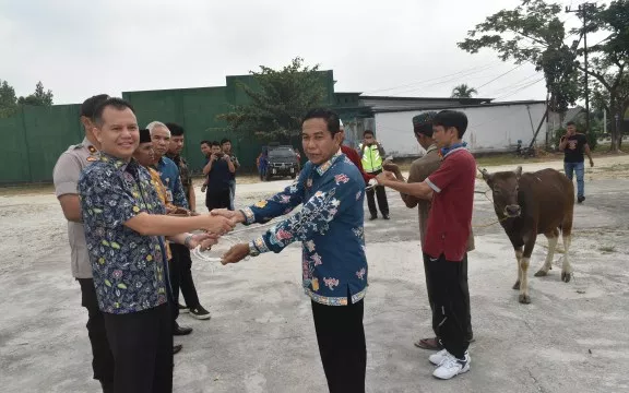Bupati Gumas Serahkan 4 Ekor Sapi Kepada Ketua Dewan Masjid