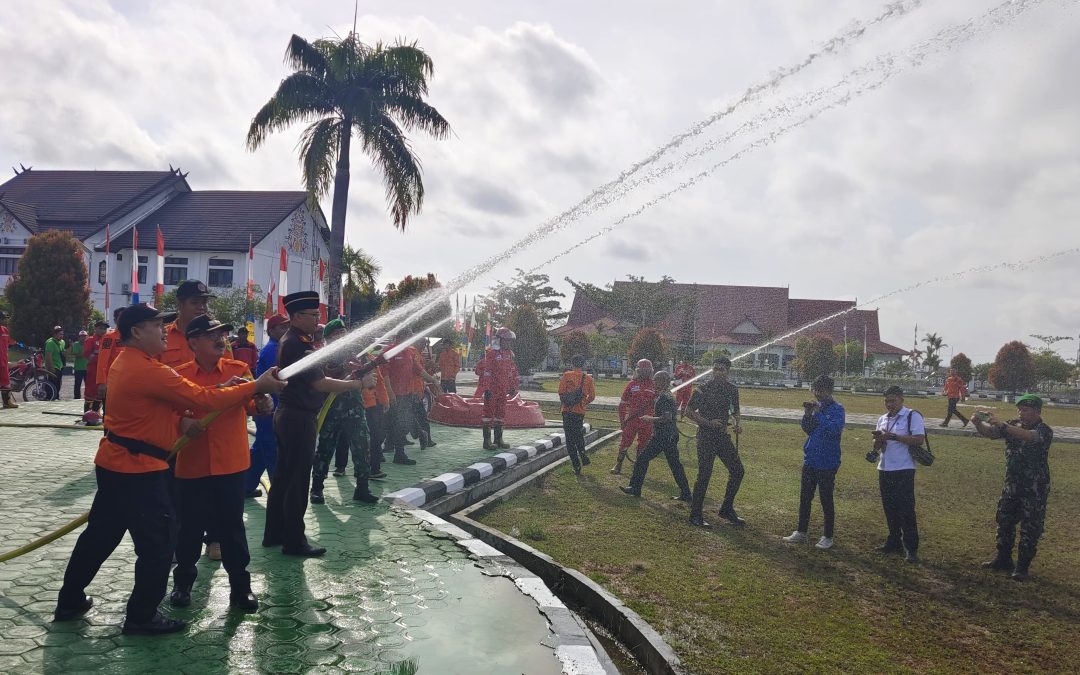 Kebakaran Hutan dan Lahan Adalah Salah Satu Masalah Serius yang Dihadapi Setiap Tahun