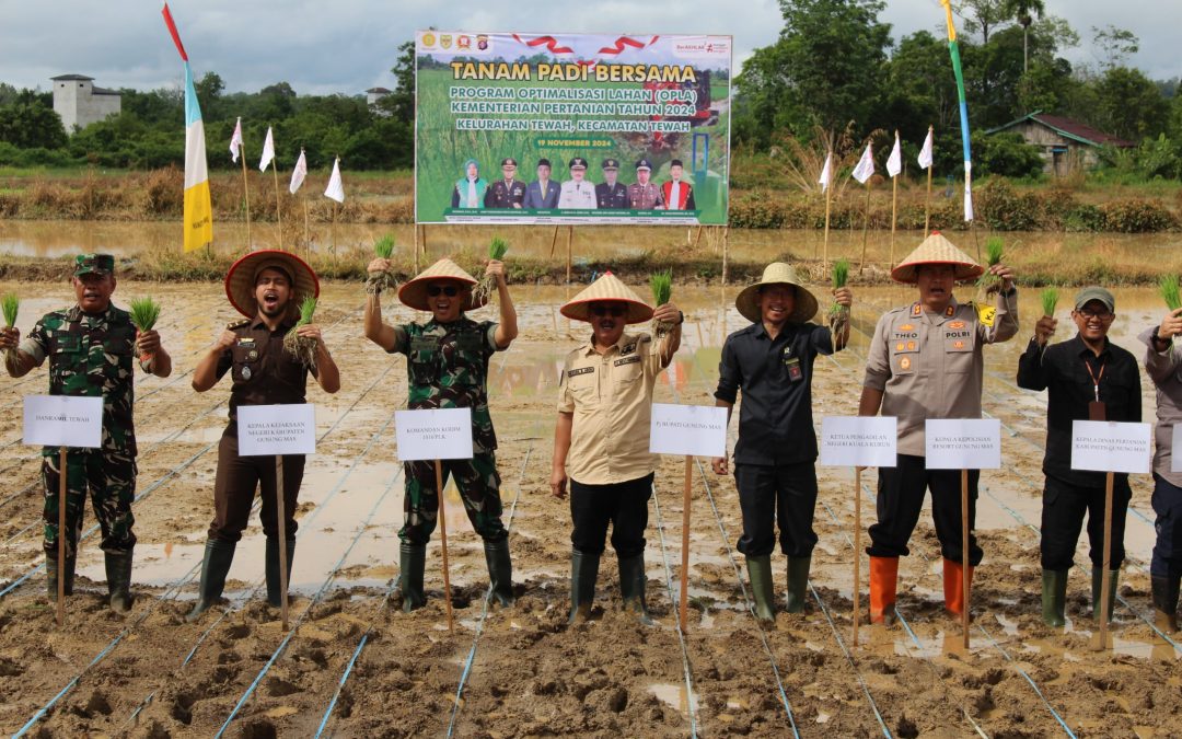 Pj. Bupati Gumas Melakukan Tanam Padi Bersama Forkopimda di Kelurahan Tewah