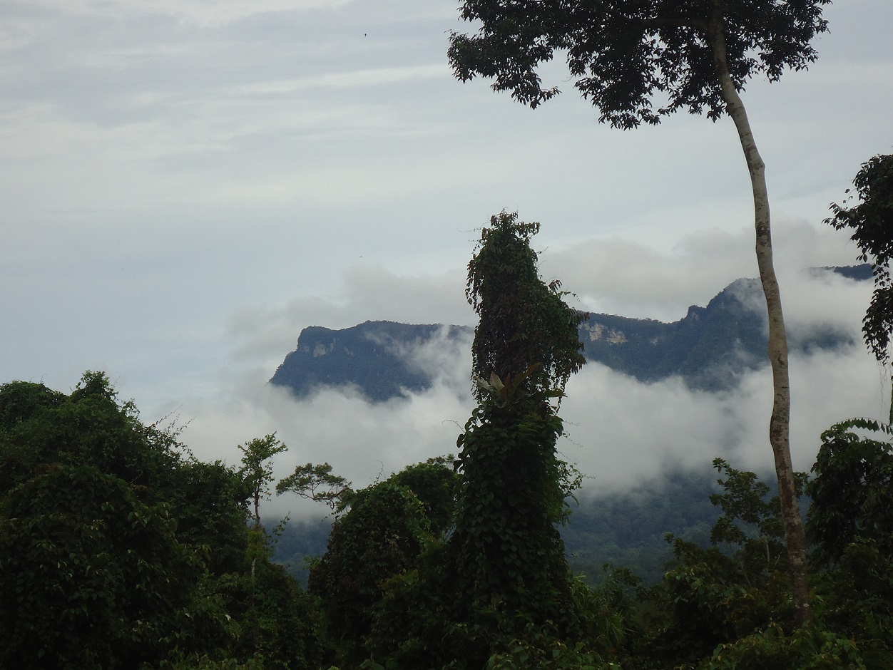 Selamat Datang