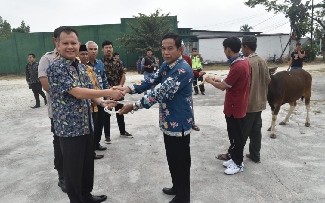 Bupati Gunung Mas Serahkan Hewan Kurban  Kepada Ketua Dewan Masjid