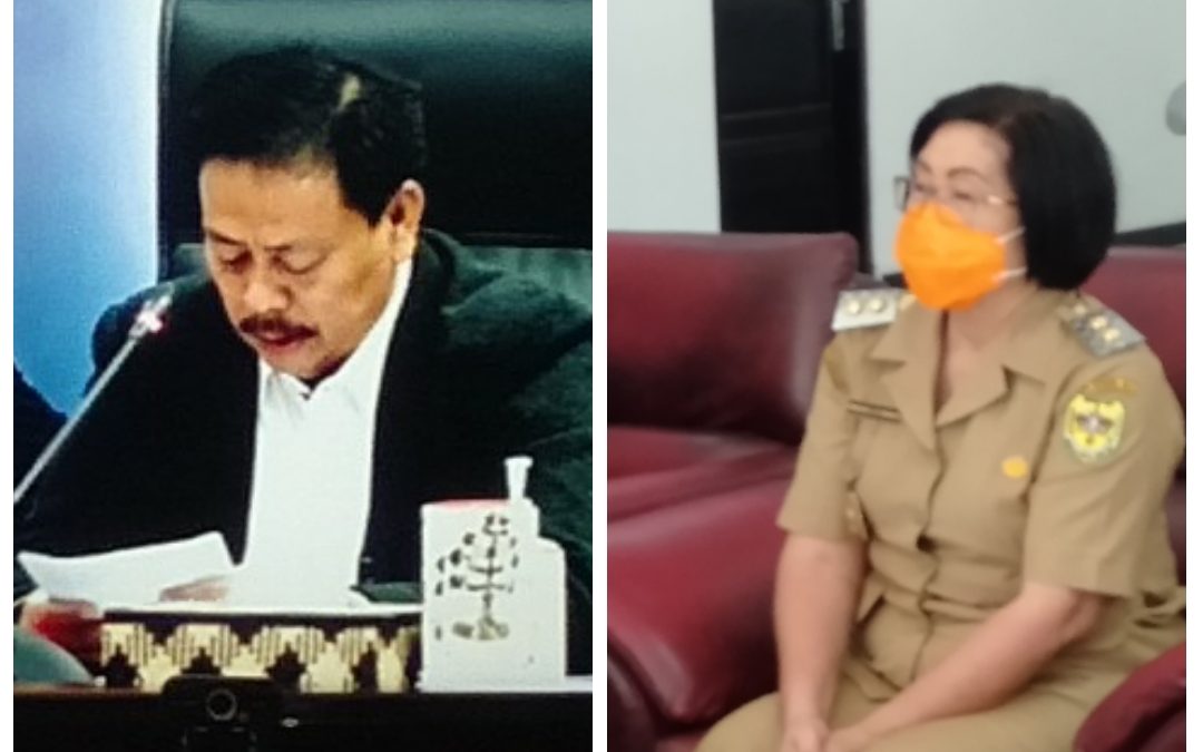 Wabup Gumas Ikuti Kegiatan Peningkatan Indeks Literasi di Kalteng dan Penanda Tanganan MoU , Perpusnas RI Dengan Perguruan Tinggi, Secara Virtual