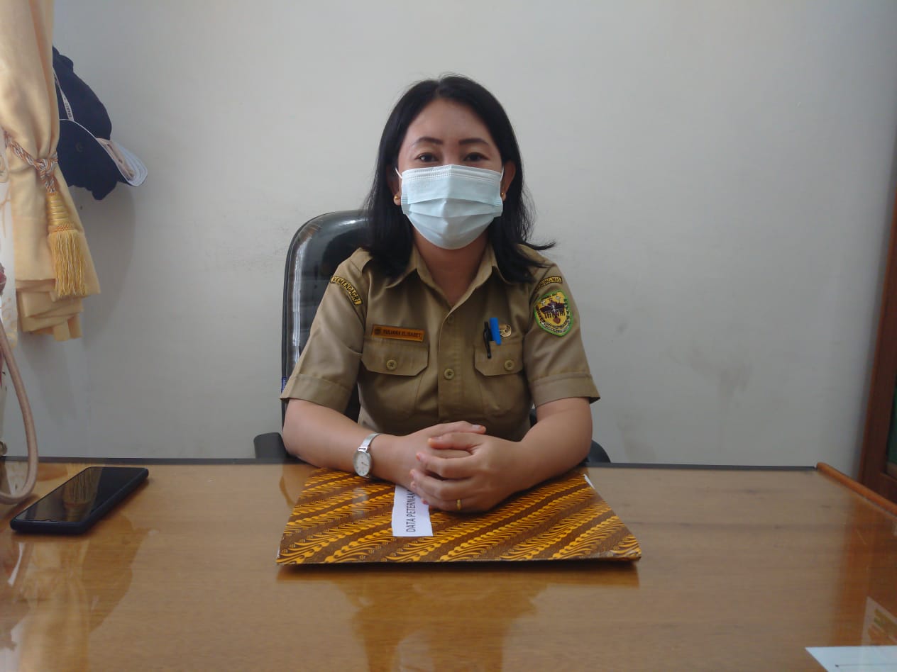 Virus ASF Hanya Serang Ternak Babi