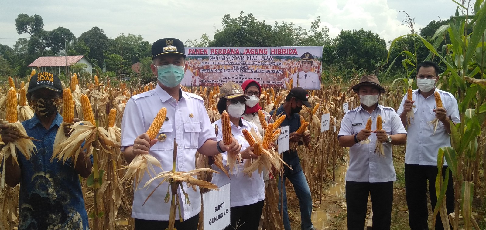 Bupati Gumas ikuti Gerakan Aksi panen Raya Nusantara se-Indonesia