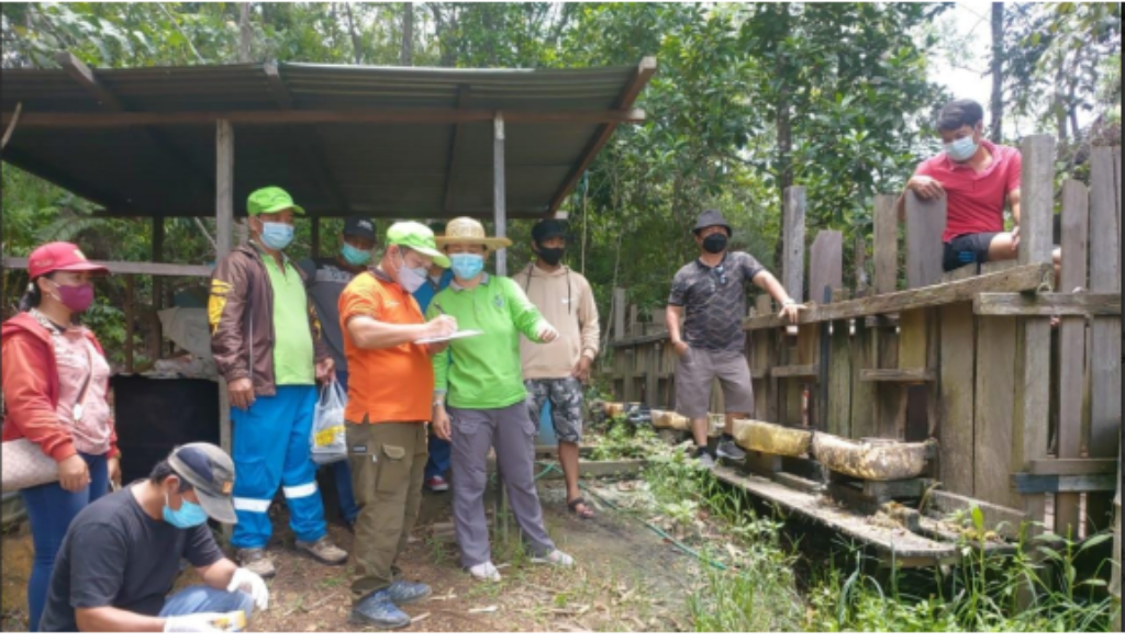 Beberapa Ternak Babi di Gumas  Mengalami Sakit dan Mati, Ini Penyebabnya…!
