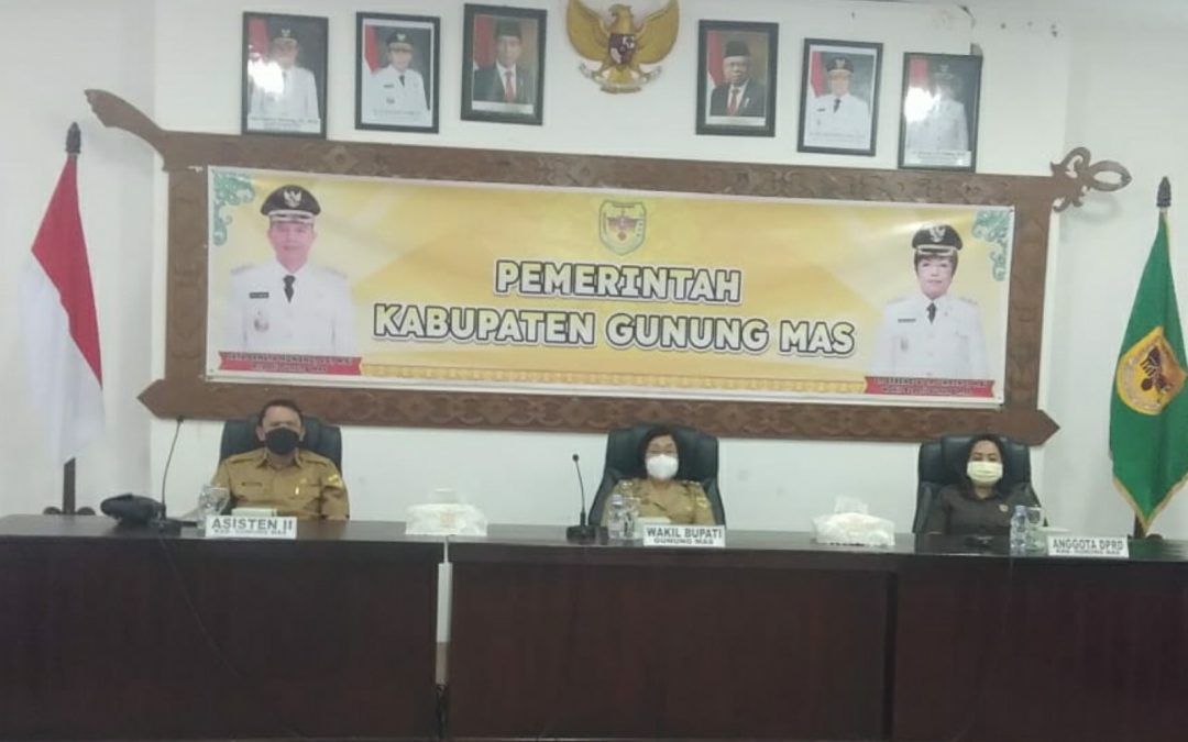 Wabup Gumas, ikuti Rapat Evaluasi Program Strategis Pemerintah Daerah Bersama Mendagri