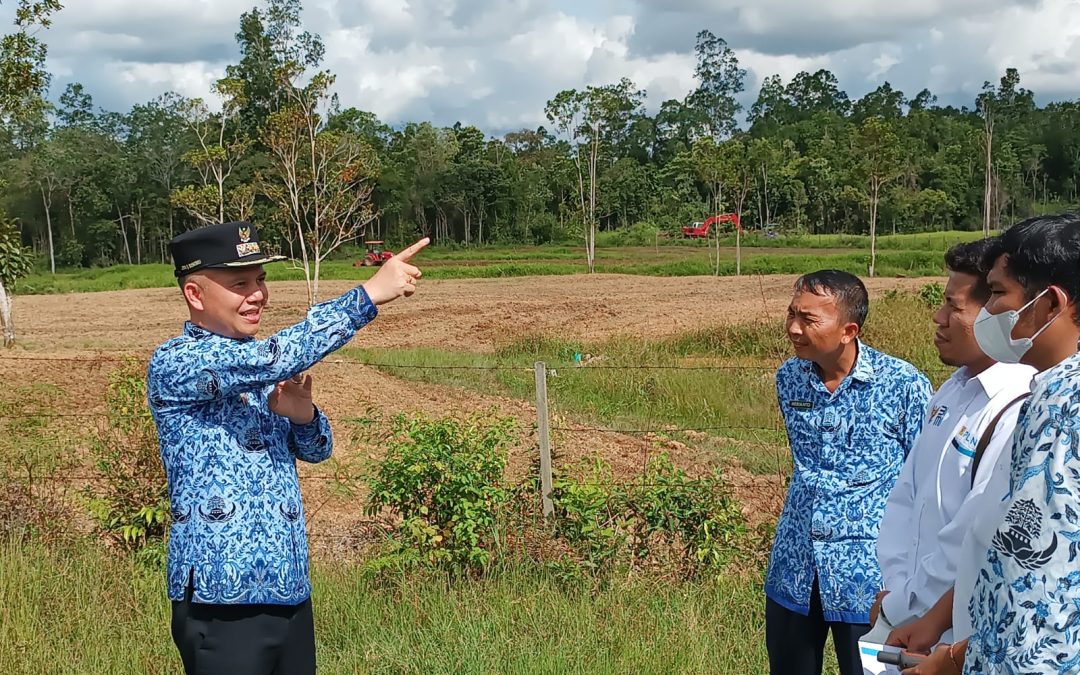 Bupati Gumas Tinjau Demplot Pertanian di Desa Tumbang Tambirah
