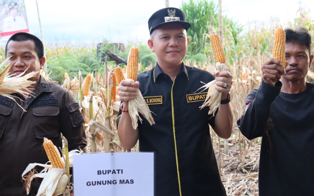 Peningkatan Pemasaran hasil Pertanian menjadi salah satu Keberhasilan Usaha Tani